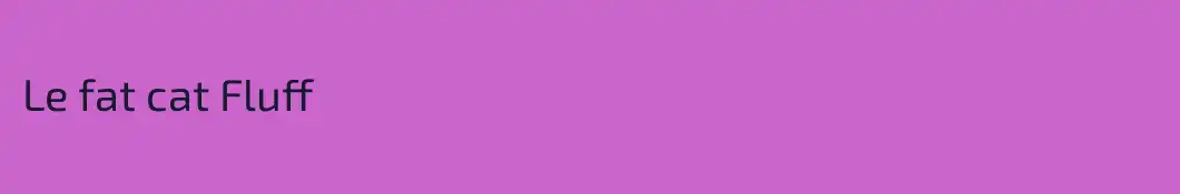 Le fat cat Fluff
